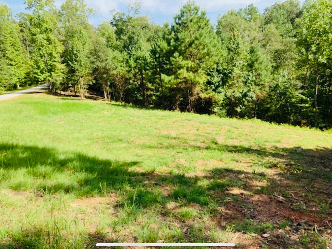 Lot 33 Woodgate Shores Dr: Lot 33 Woodgate Shores Dr, Wedowee, AL 36278